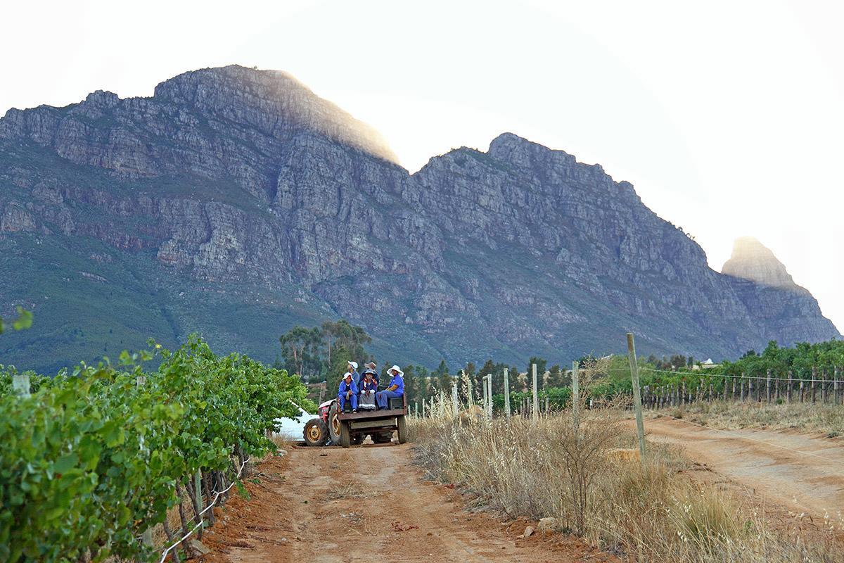 Muratie Wine Estate Stellenbosch Exteriér fotografie