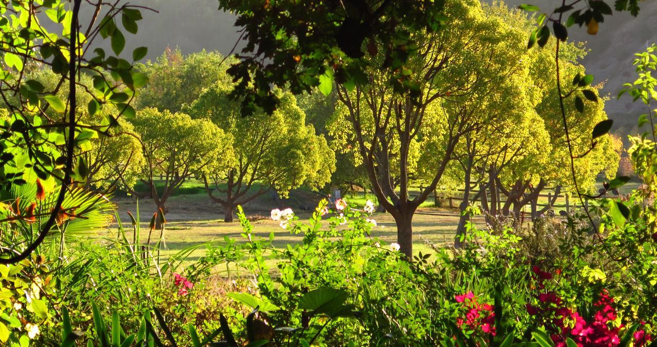 Muratie Wine Estate Stellenbosch Exteriér fotografie