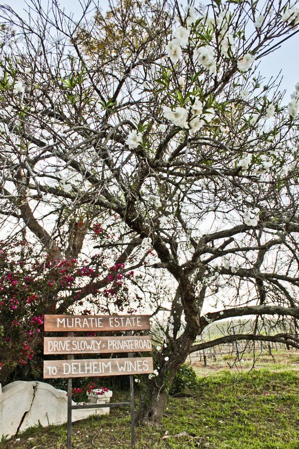 Muratie Wine Estate Stellenbosch Exteriér fotografie